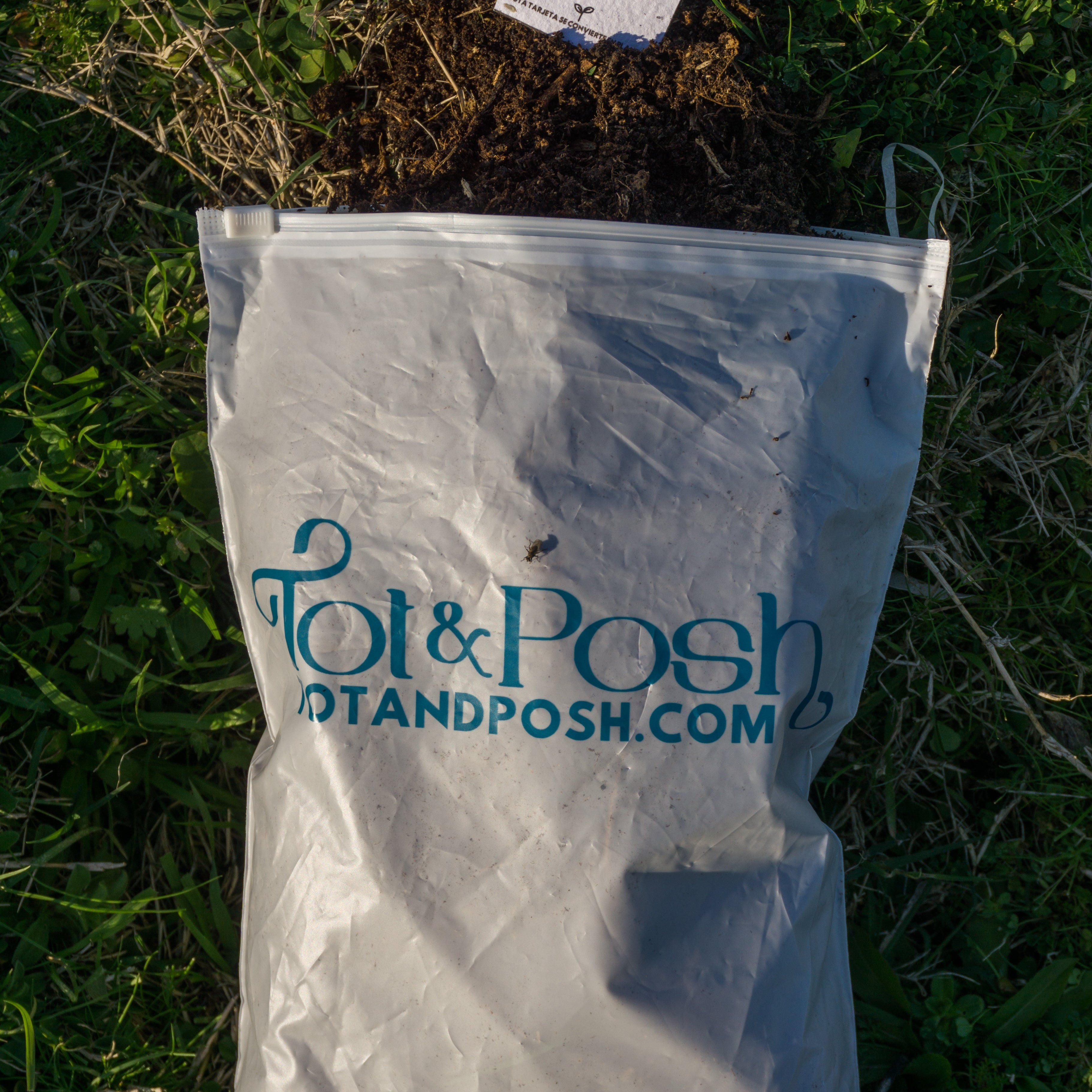 Tot and Posh: Compromiso Real con la Sostenibilidad
