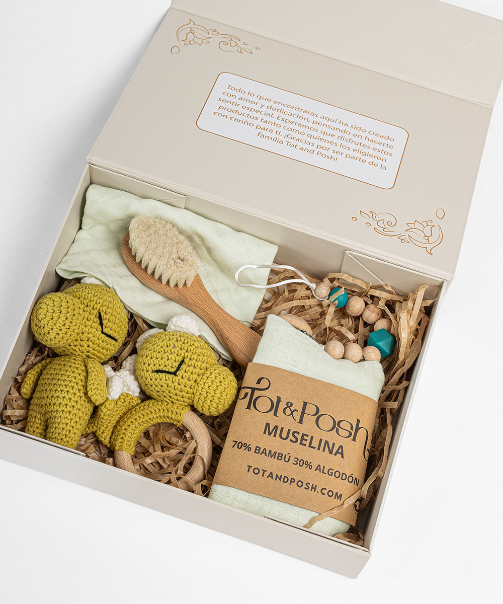 Tot and Posh Dinosaurio Gift Box Classic
